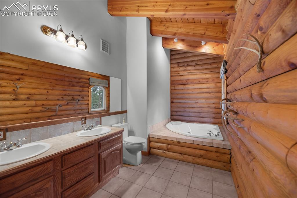 170 Druid Trail Florissant CO 80814