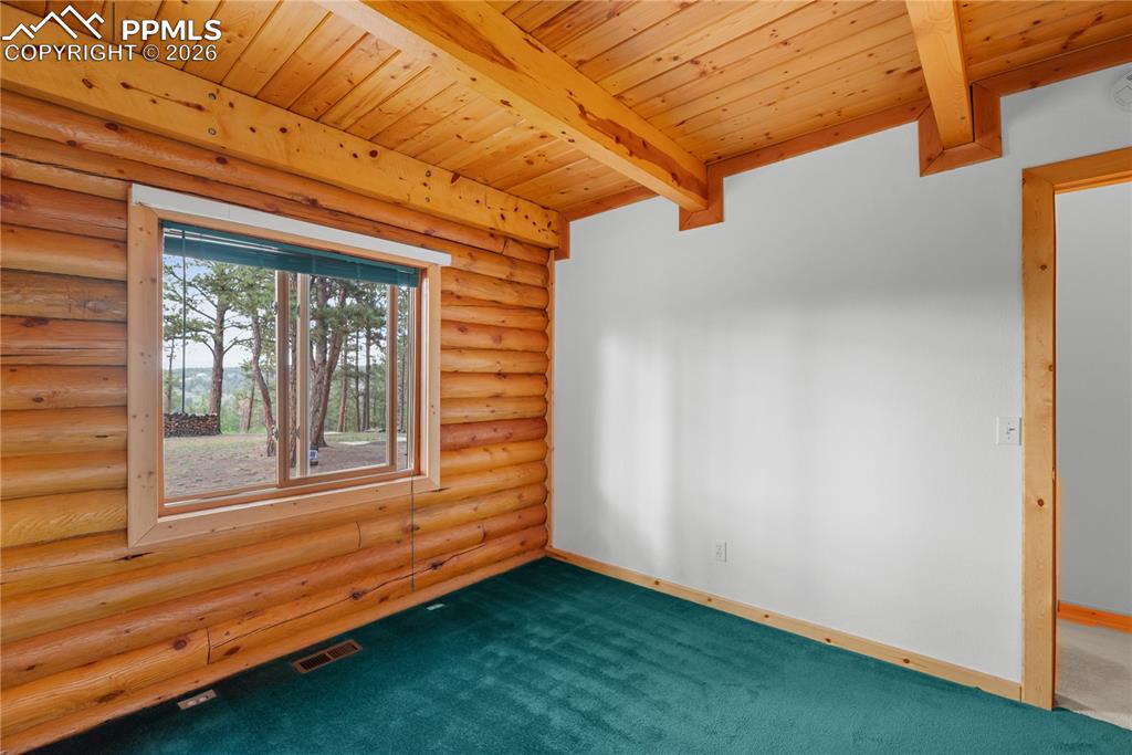 170 Druid Trail Florissant CO 80814