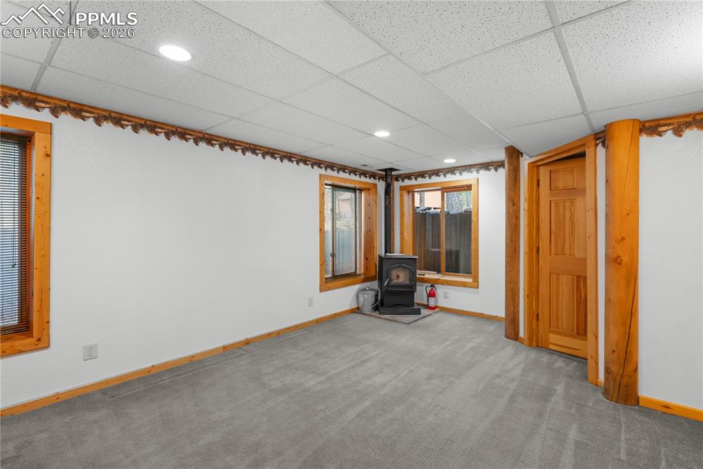 170 Druid Trail Florissant CO 80814