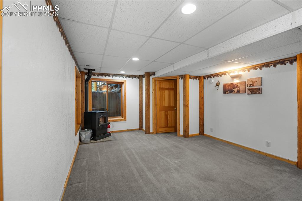 170 Druid Trail Florissant CO 80814