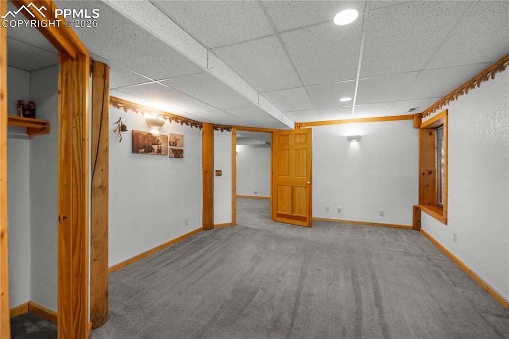 170 Druid Trail Florissant CO 80814