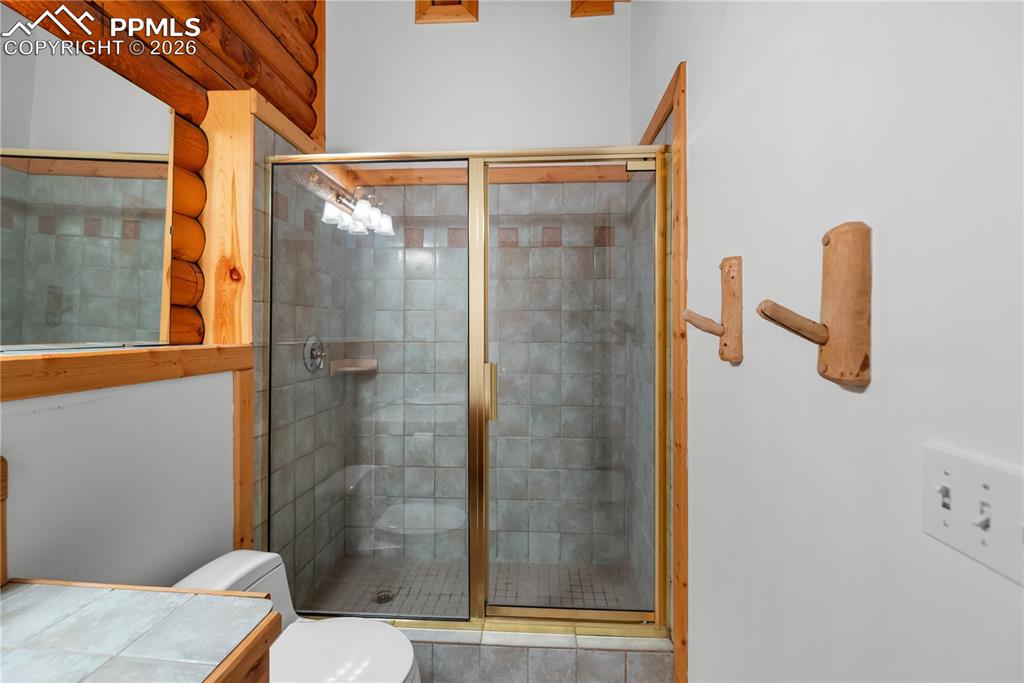 170 Druid Trail Florissant CO 80814