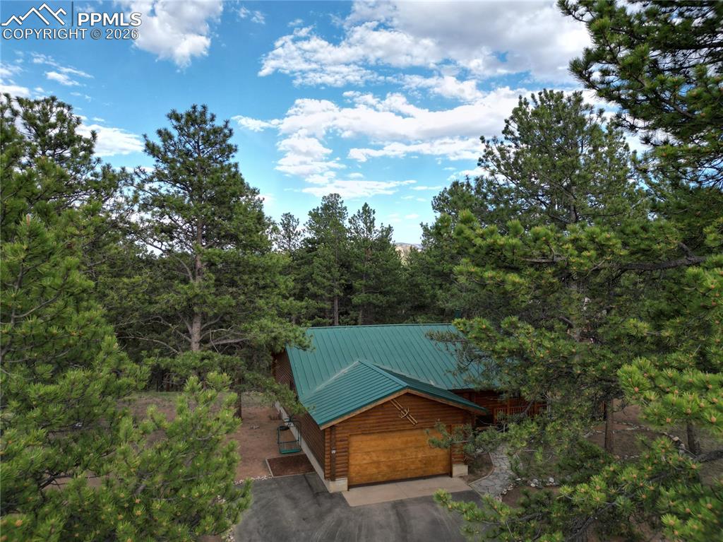 170 Druid Trail Florissant CO 80814