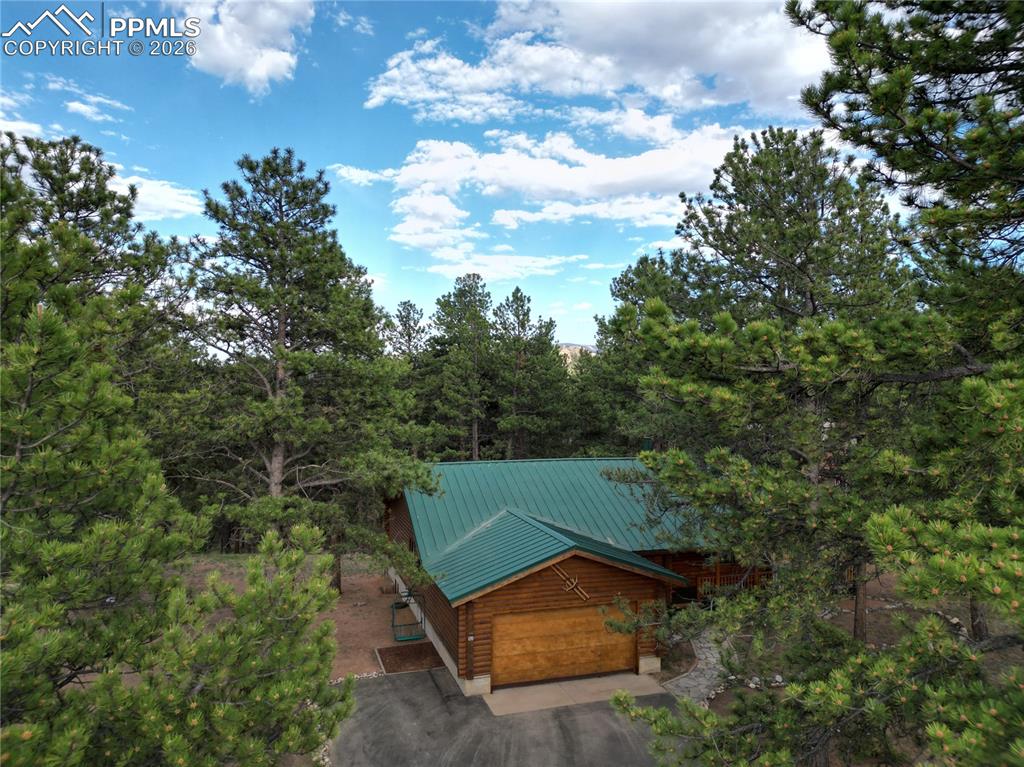 170 Druid Trail Florissant CO 80814