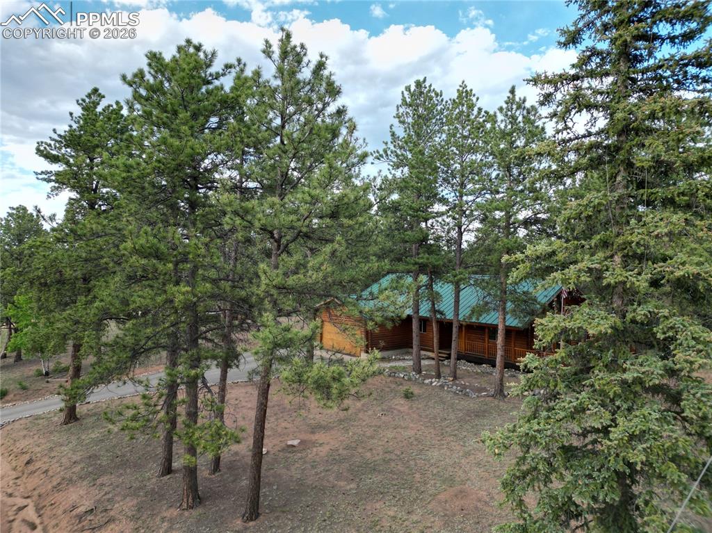 170 Druid Trail Florissant CO 80814