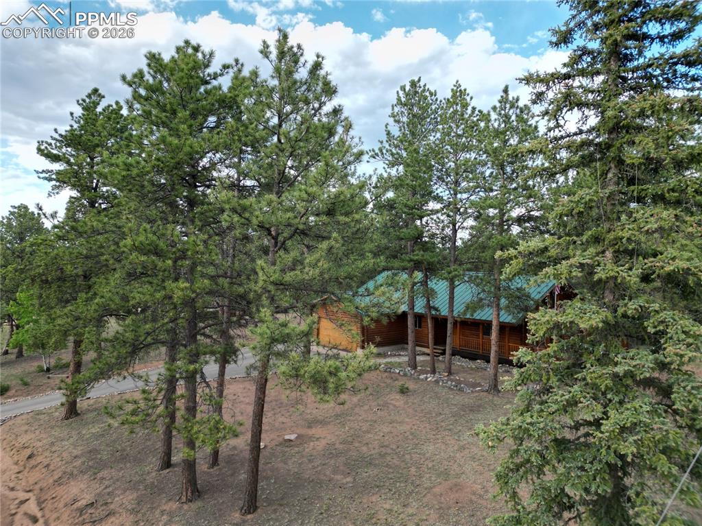 170 Druid Trail Florissant CO 80814