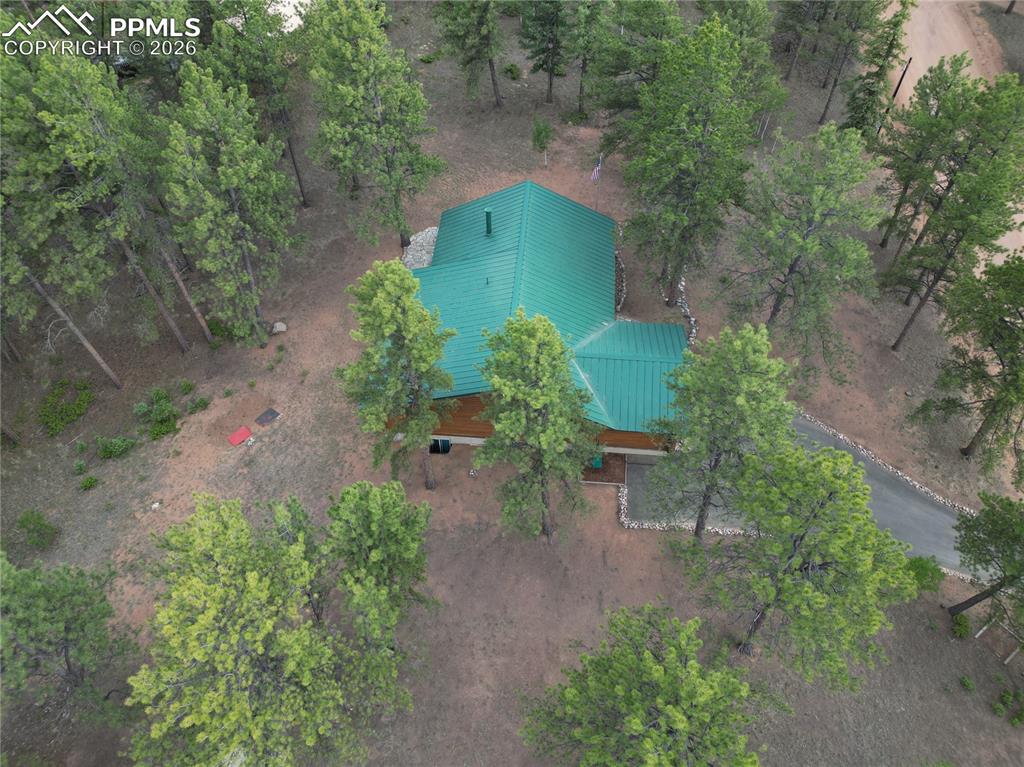 170 Druid Trail Florissant CO 80814