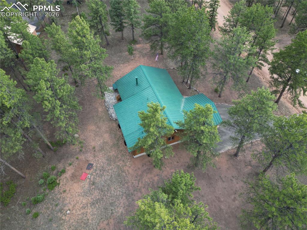 170 Druid Trail Florissant CO 80814