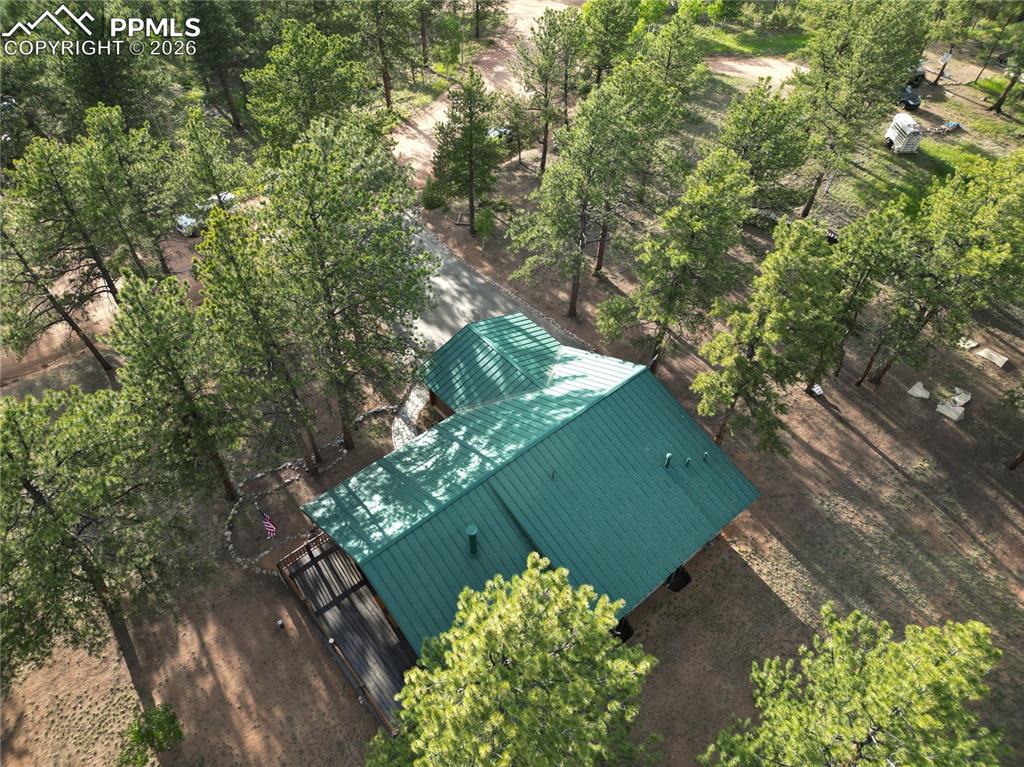 170 Druid Trail Florissant CO 80814