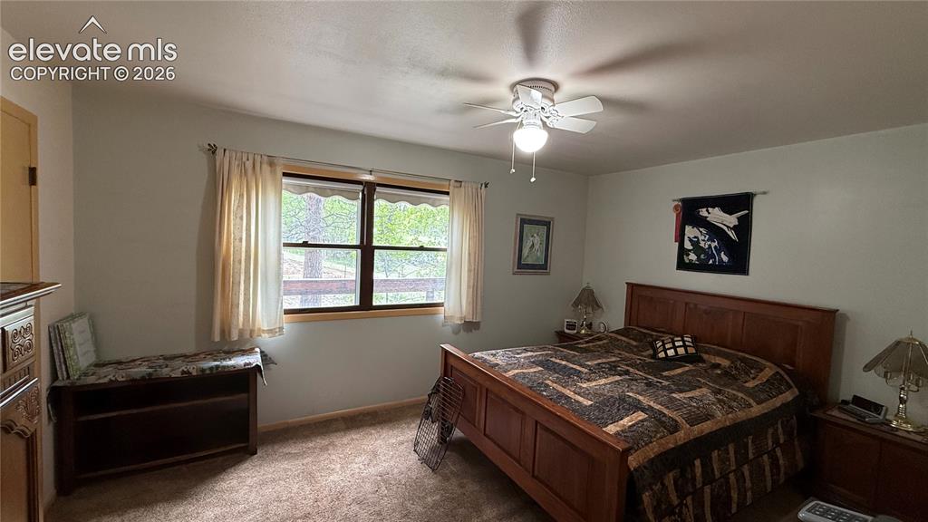 741 Elfin Glen Drive Divide CO 80814