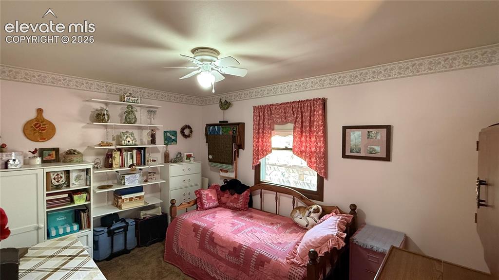 741 Elfin Glen Drive Divide CO 80814