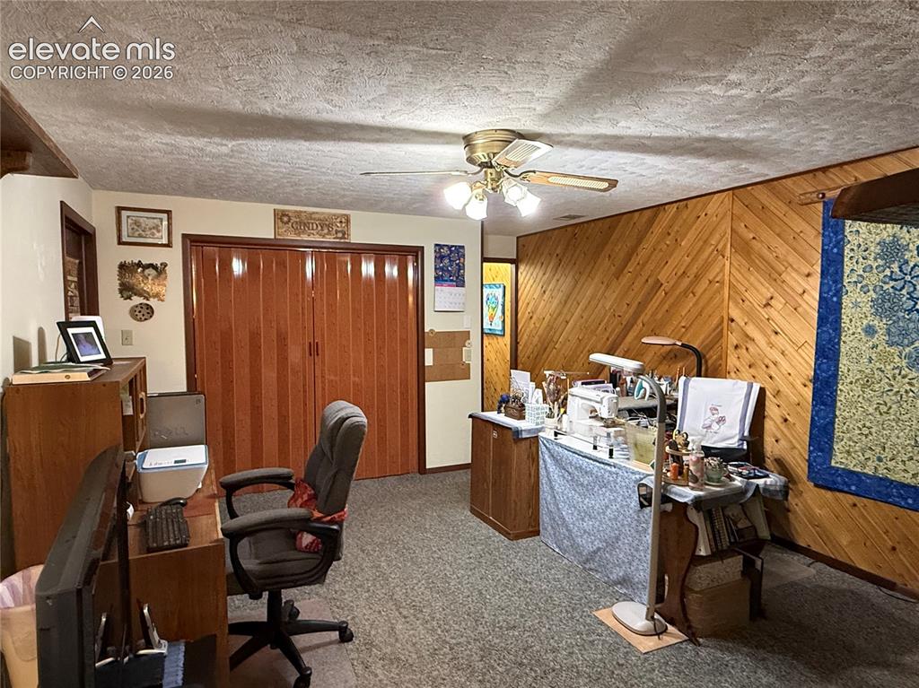 741 Elfin Glen Drive Divide CO 80814