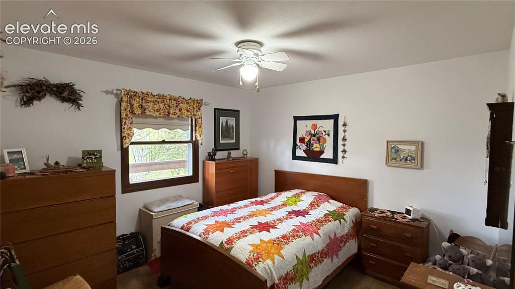 741 Elfin Glen Drive Divide CO 80814