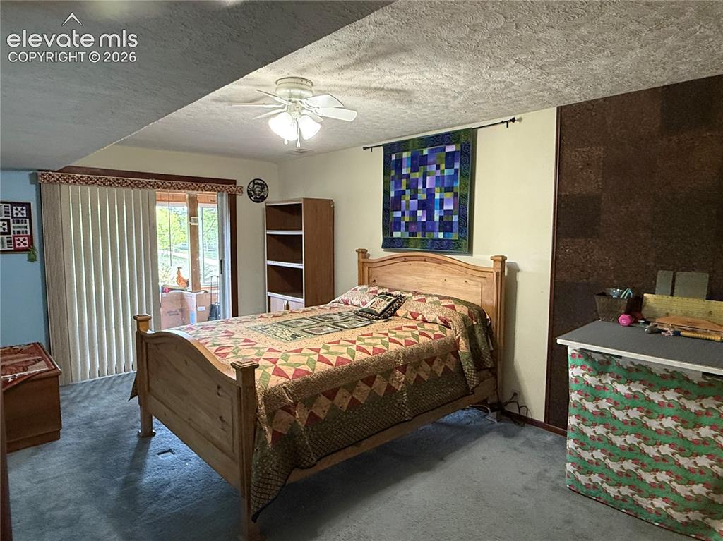 741 Elfin Glen Drive Divide CO 80814