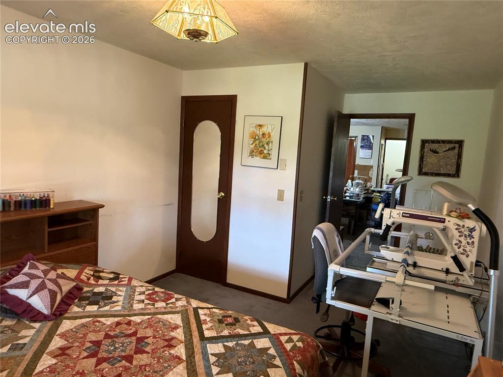 741 Elfin Glen Drive Divide CO 80814