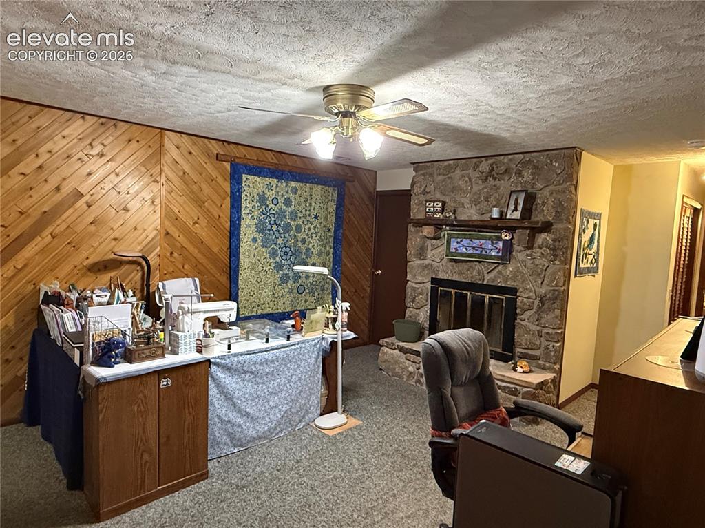 741 Elfin Glen Drive Divide CO 80814