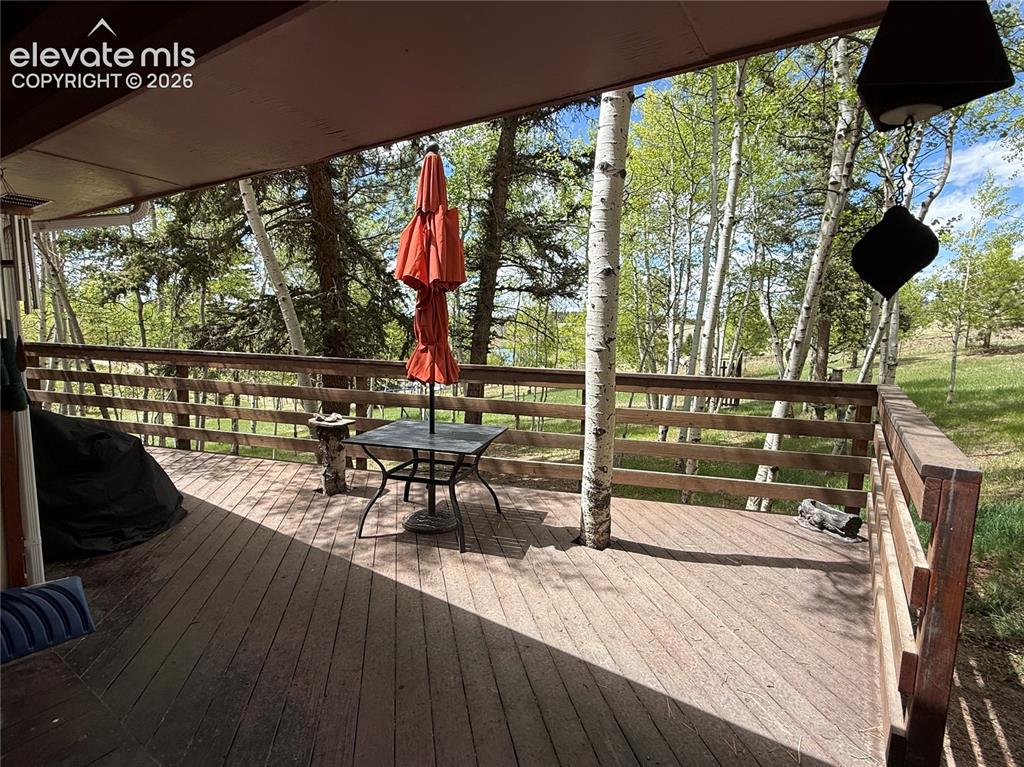741 Elfin Glen Drive Divide CO 80814