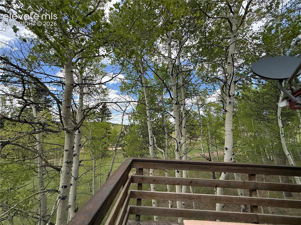 741 Elfin Glen Drive Divide CO 80814