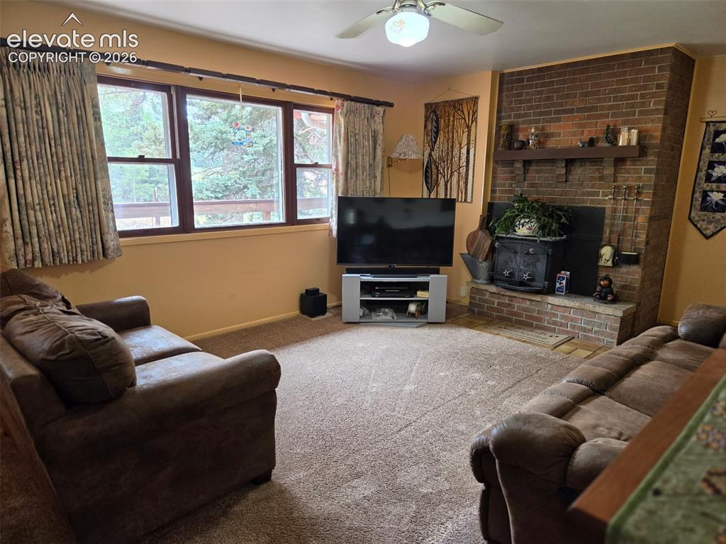 741 Elfin Glen Drive Divide CO 80814