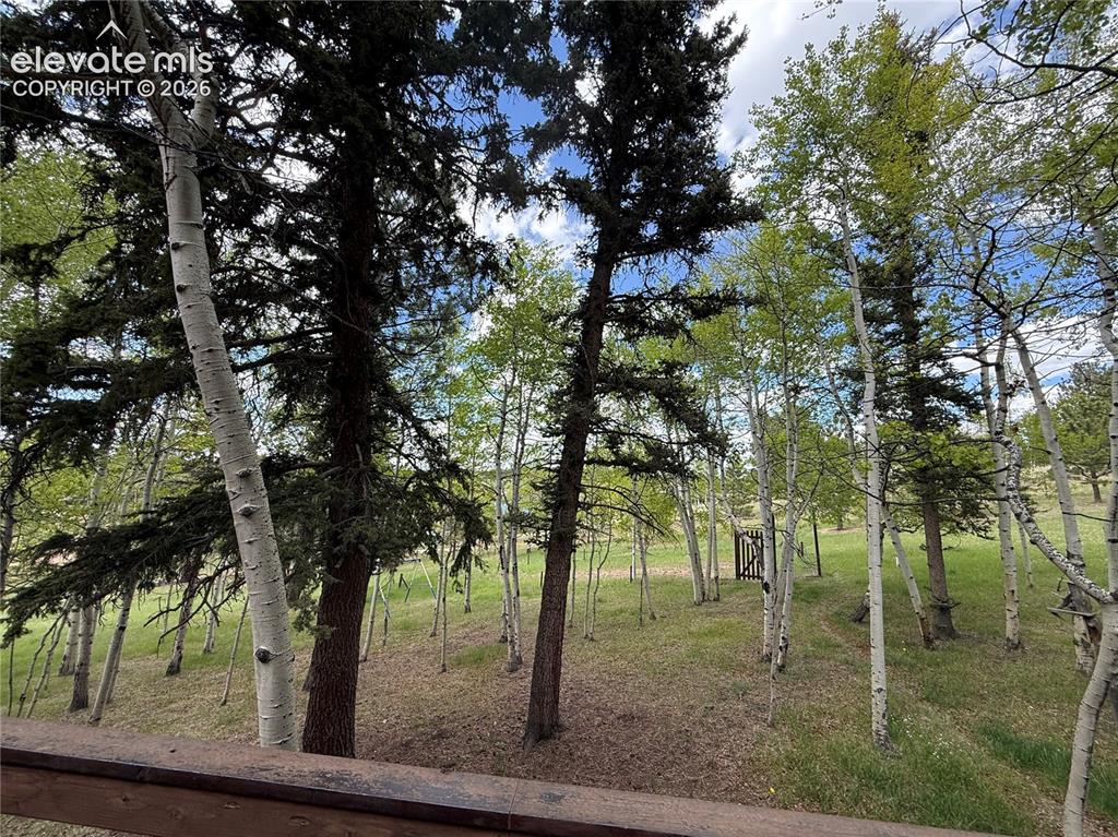 741 Elfin Glen Drive Divide CO 80814