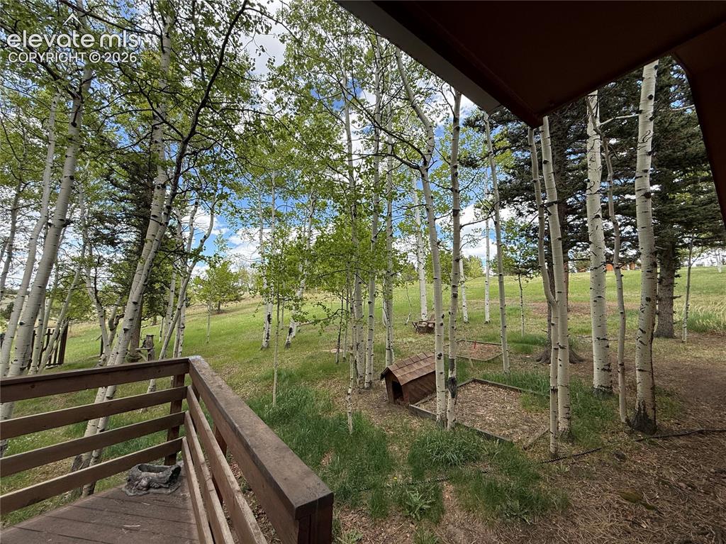 741 Elfin Glen Drive Divide CO 80814