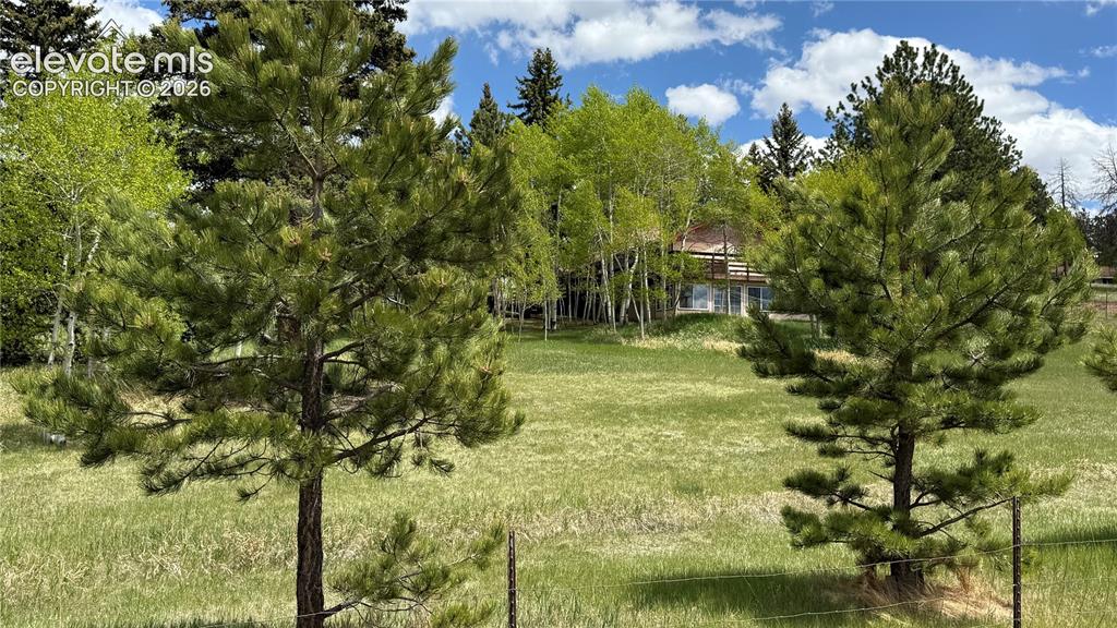 741 Elfin Glen Drive Divide CO 80814