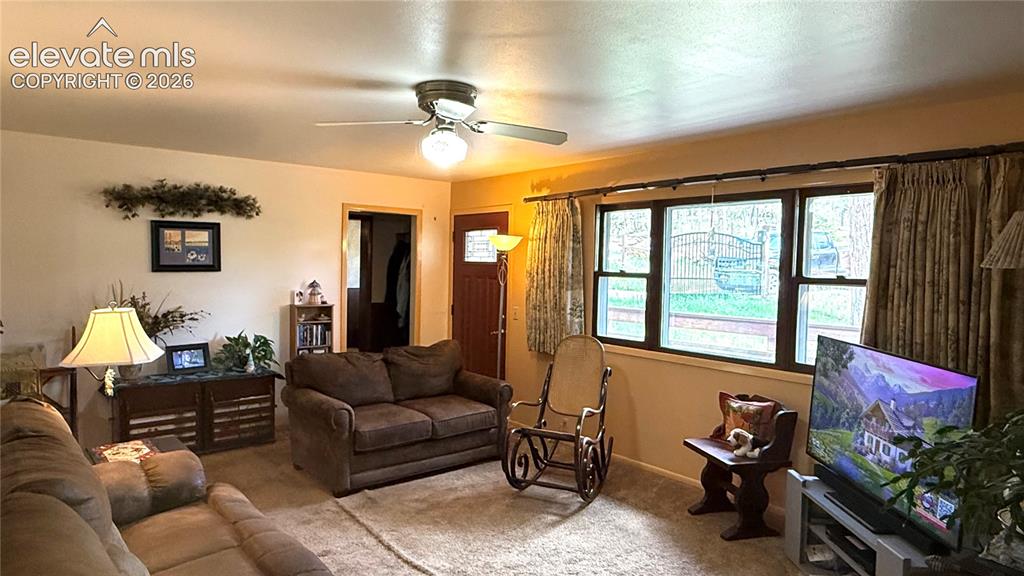 741 Elfin Glen Drive Divide CO 80814