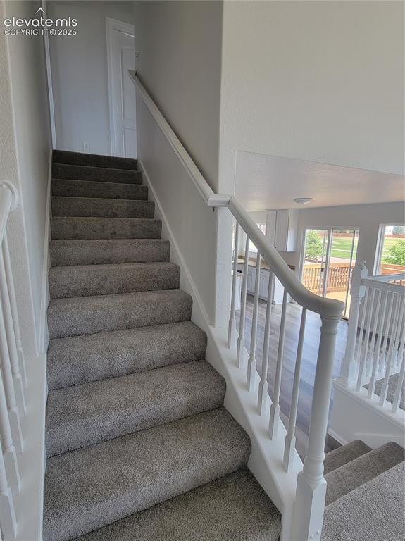 10025 Everglades Drive Colorado Springs CO 80831