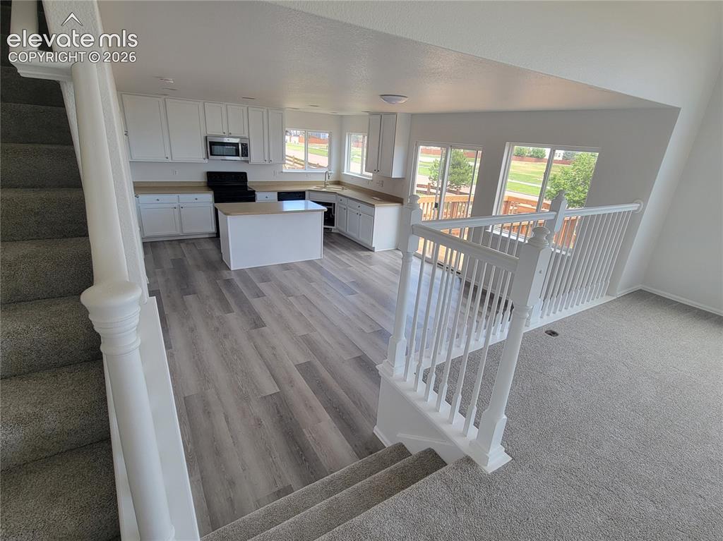 10025 Everglades Drive Colorado Springs CO 80831