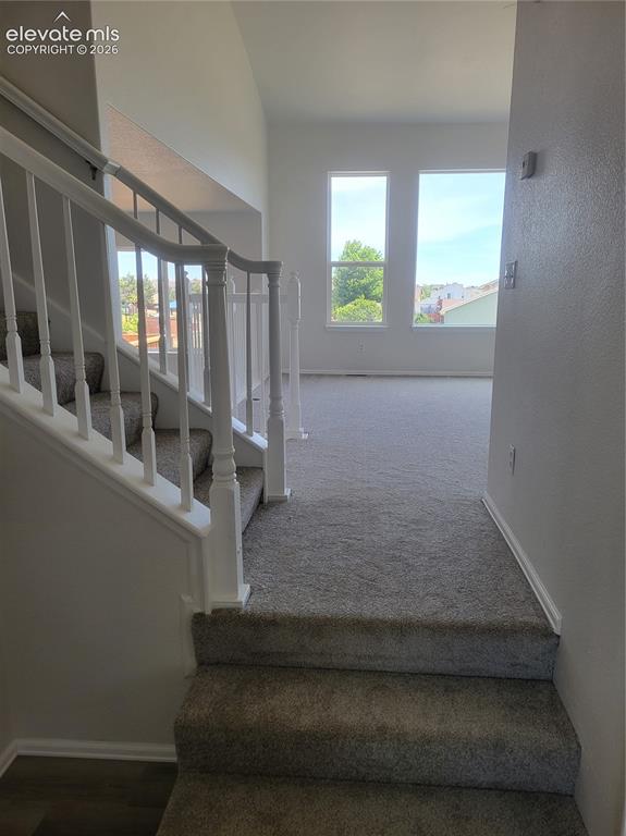 10025 Everglades Drive Colorado Springs CO 80831