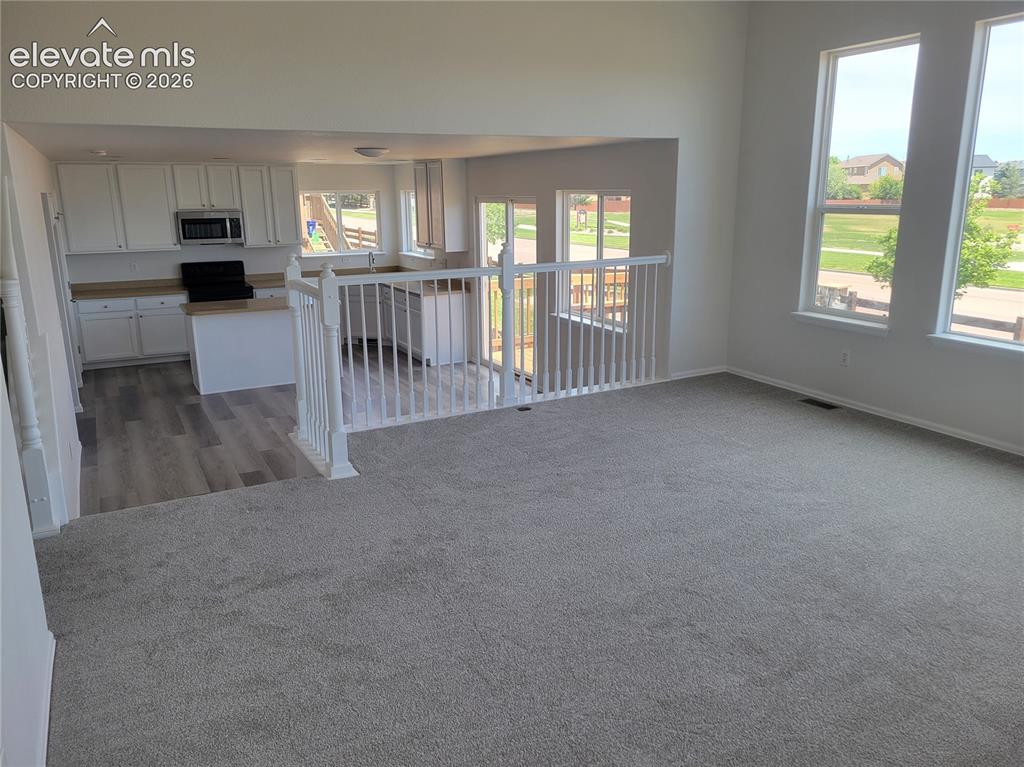 10025 Everglades Drive Colorado Springs CO 80831