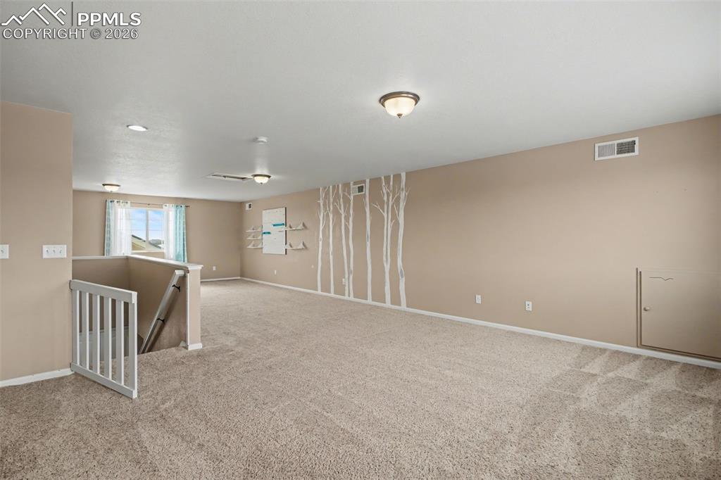 8215 Birch Tree Loop Colorado Springs CO 80927