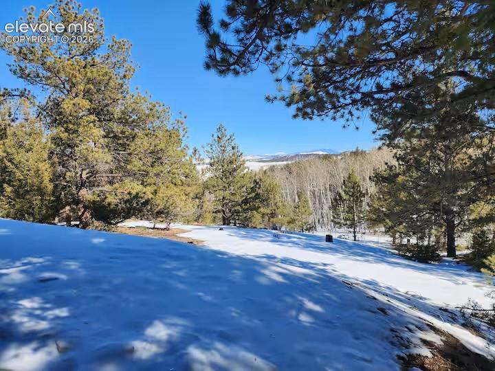 1173 Bellows Road Hartsel CO 80449