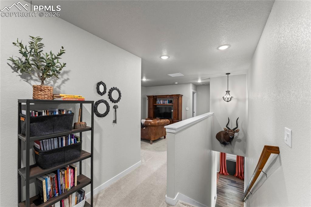 5204 Roundhouse Drive Colorado Springs CO 80925
