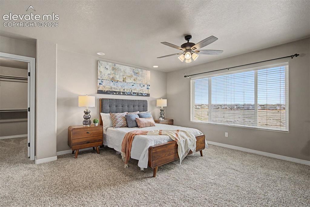 7926 Dutch Loop Colorado Springs CO 80925