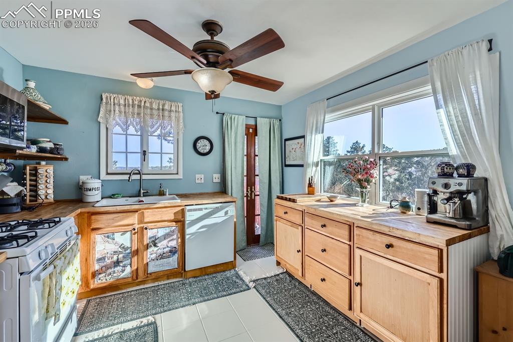 347 Buena Vista Avenue Palmer Lake CO 80133