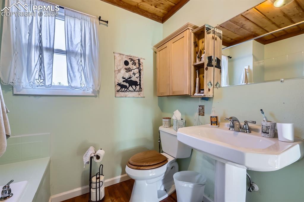 347 Buena Vista Avenue Palmer Lake CO 80133