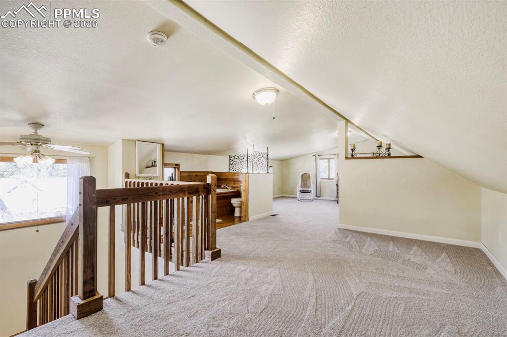 347 Buena Vista Avenue Palmer Lake CO 80133
