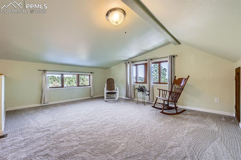 347 Buena Vista Avenue Palmer Lake CO 80133