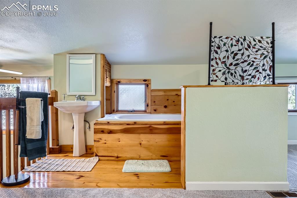 347 Buena Vista Avenue Palmer Lake CO 80133