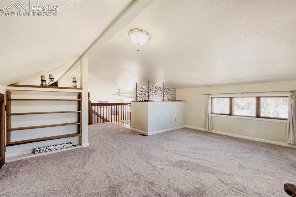 347 Buena Vista Avenue Palmer Lake CO 80133