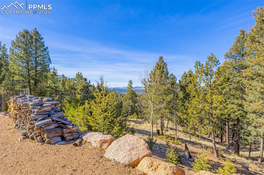 2638 N Mountain Estates Road Florissant CO 80816