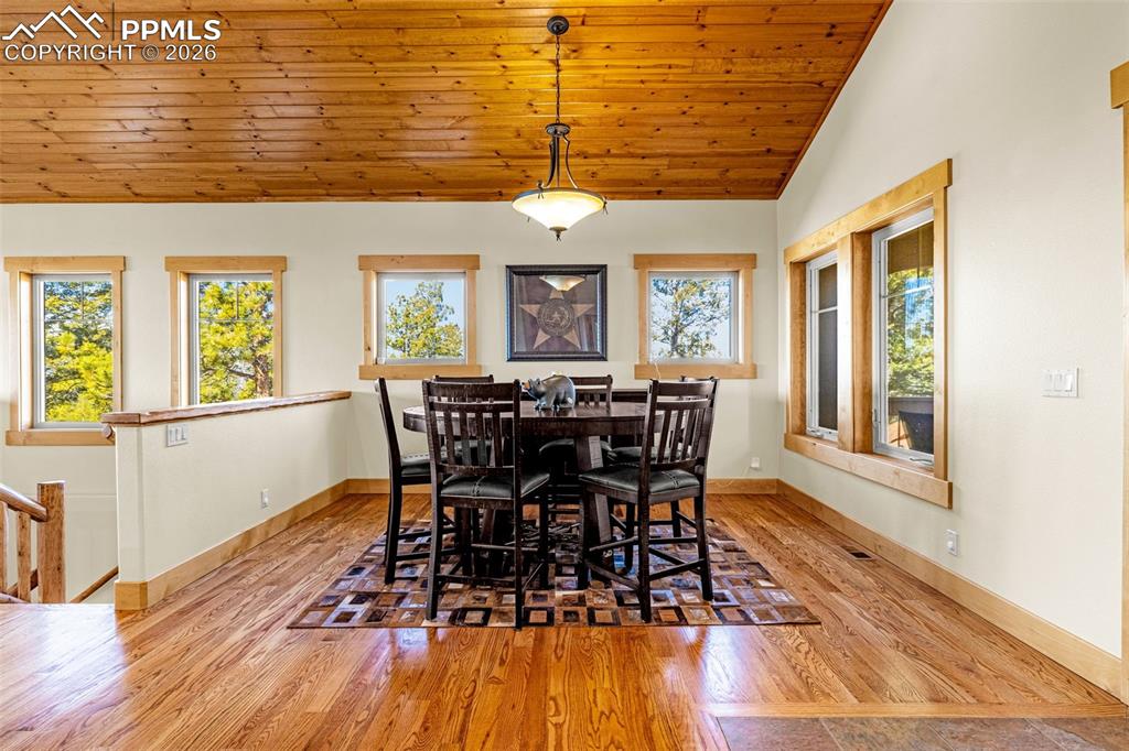 2638 N Mountain Estates Road Florissant CO 80816