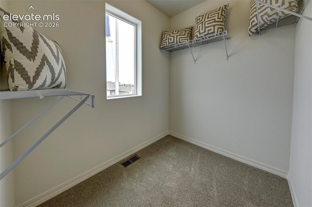 4913 Havenward View Colorado Springs CO 80911