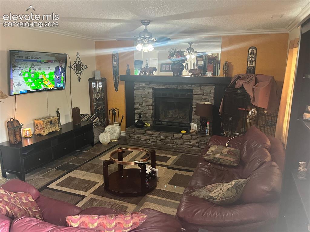 3910 Rosemere Street Colorado Springs CO 80906
