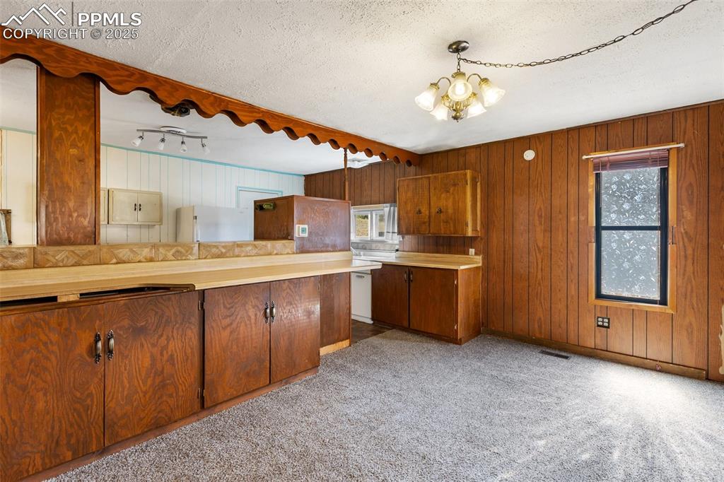272 Spring Valley Trail Florissant CO 80816