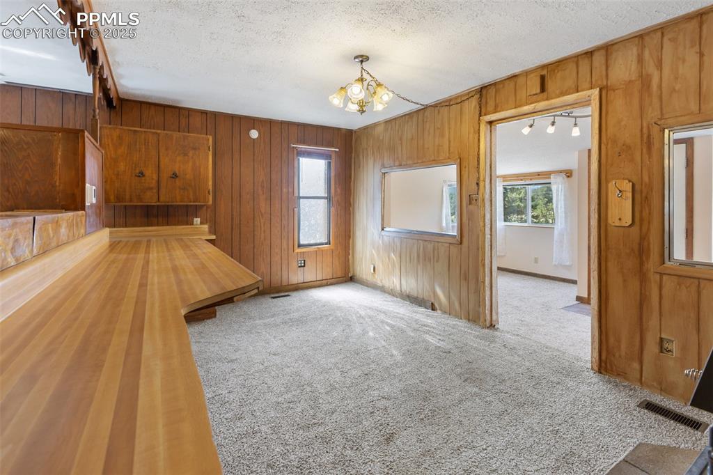 272 Spring Valley Trail Florissant CO 80816