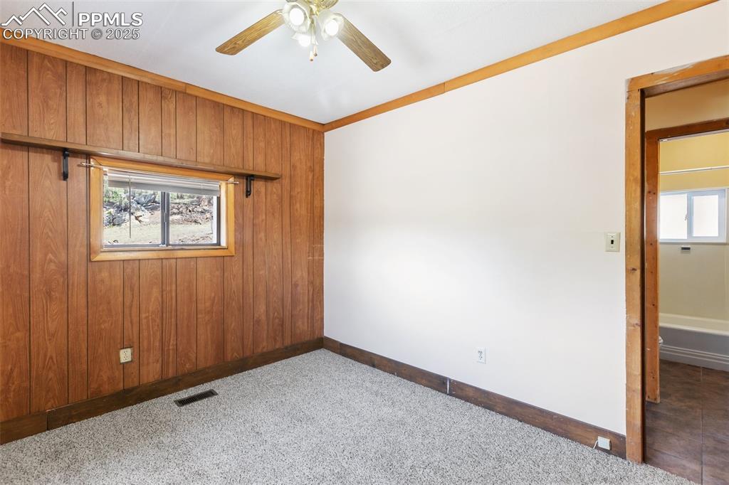 272 Spring Valley Trail Florissant CO 80816