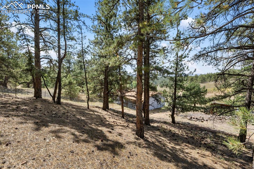 272 Spring Valley Trail Florissant CO 80816