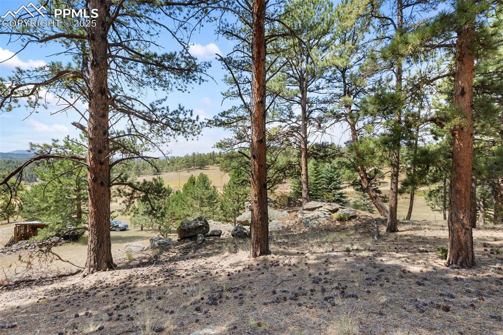 272 Spring Valley Trail Florissant CO 80816